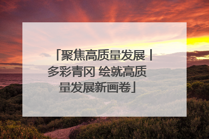 聚焦高质量发展丨多彩青冈 绘就高质量发展新画卷