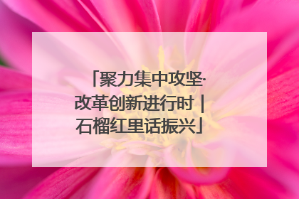 聚力集中攻坚·改革创新进行时｜石榴红里话振兴