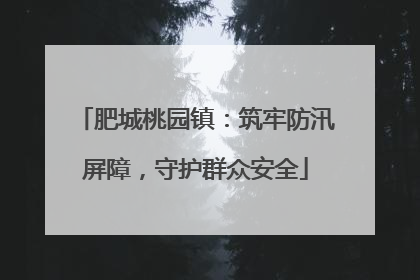 肥城桃园镇：筑牢防汛屏障，守护群众安全