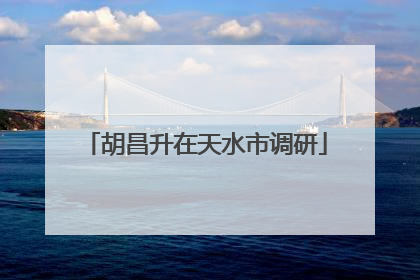 胡昌升在天水市调研