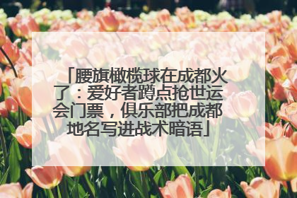 腰旗橄榄球在成都火了：爱好者蹲点抢世运会门票，俱乐部把成都地名写进战术暗语