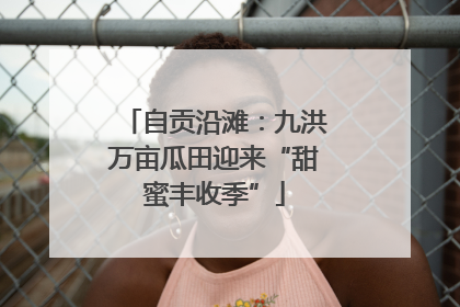 自贡沿滩：九洪万亩瓜田迎来“甜蜜丰收季”