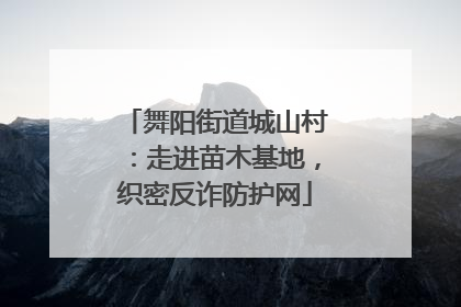舞阳街道城山村：走进苗木基地，织密反诈防护网