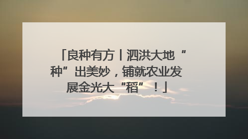 良种有方丨泗洪大地“种”出美妙，铺就农业发展金光大“稻”！