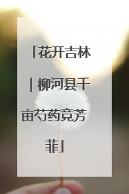 花开吉林｜柳河县千亩芍药竞芳菲