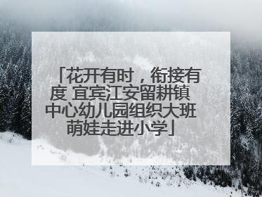 花开有时，衔接有度 宜宾江安留耕镇中心幼儿园组织大班萌娃走进小学