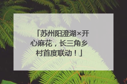苏州阳澄湖×开心麻花，长三角乡村首度联动！