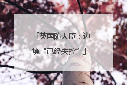 英国防大臣：边境“已经失控”