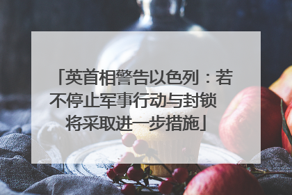 英首相警告以色列：若不停止军事行动与封锁 将采取进一步措施