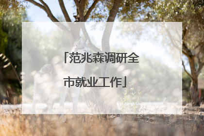 范兆森调研全市就业工作