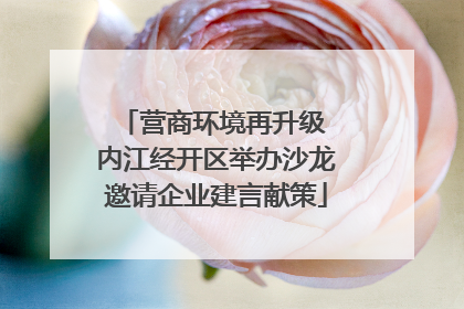 营商环境再升级 内江经开区举办沙龙邀请企业建言献策