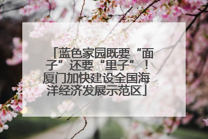 蓝色家园既要“面子”还要“里子”！厦门加快建设全国海洋经济发展示范区