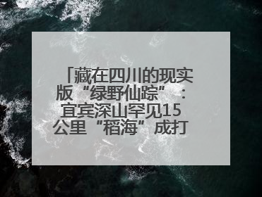 藏在四川的现实版“绿野仙踪”：宜宾深山罕见15公里“稻海”成打卡新地标