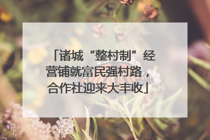 诸城“整村制”经营铺就富民强村路，合作社迎来大丰收