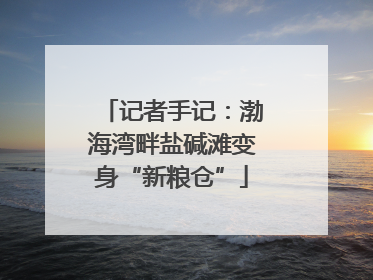 记者手记：渤海湾畔盐碱滩变身“新粮仓”
