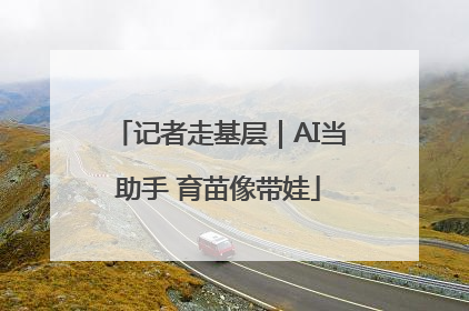 记者走基层｜AI当助手 育苗像带娃