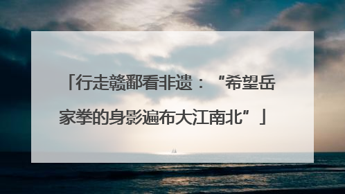 行走赣鄱看非遗：“希望岳家拳的身影遍布大江南北”