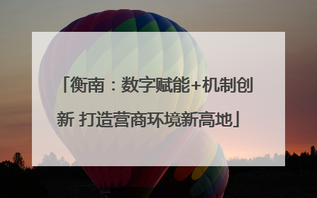 衡南：数字赋能+机制创新 打造营商环境新高地