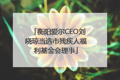 衡阳爱尔CEO刘晓琼当选市残疾人福利基金会理事