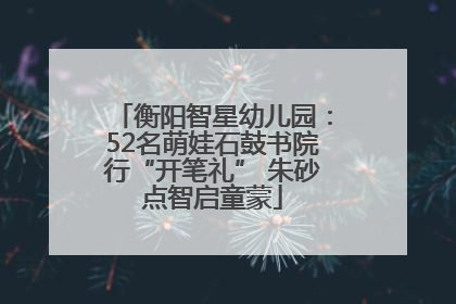 衡阳智星幼儿园：52名萌娃石鼓书院行“开笔礼” 朱砂点智启童蒙