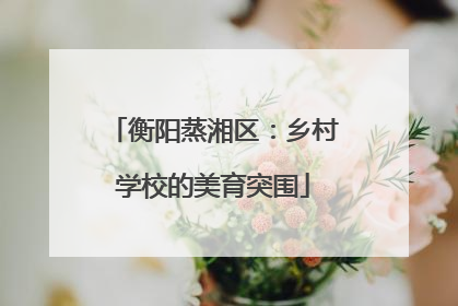 衡阳蒸湘区：乡村学校的美育突围