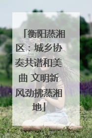 衡阳蒸湘区：城乡协奏共谱和美曲 文明新风劲拂蒸湘地