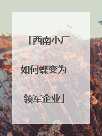 西南小厂如何蝶变为领军企业