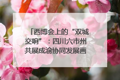 西博会上的“双城交响”：四川六市州共展成渝协同发展画卷｜西博视界