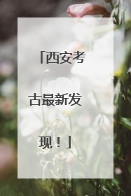 西安考古最新发现！