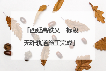 西延高铁又一标段无砟轨道施工完成
