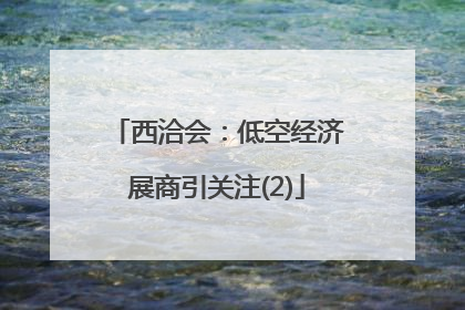 西洽会：低空经济展商引关注(2)