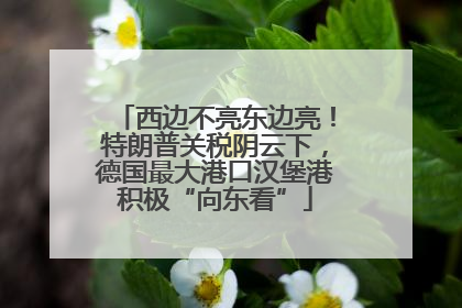 西边不亮东边亮！特朗普关税阴云下，德国最大港口汉堡港积极“向东看”