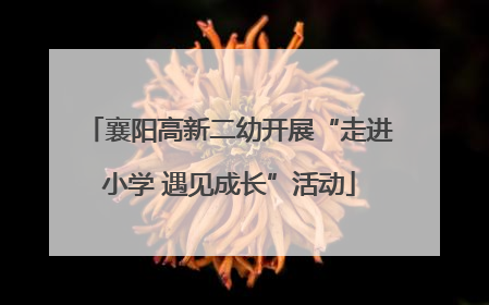襄阳高新二幼开展“走进小学 遇见成长”活动