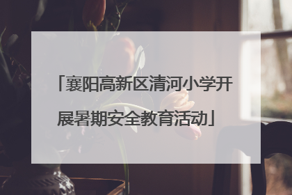 襄阳高新区清河小学开展暑期安全教育活动
