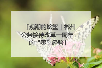 观潮的螃蟹丨郴州公务接待改革一周年的“零”经验