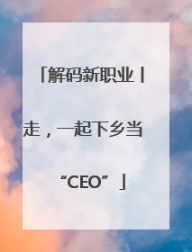 解码新职业丨走，一起下乡当“CEO”