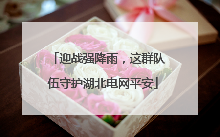迎战强降雨，这群队伍守护湖北电网平安