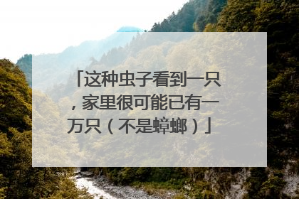 这种虫子看到一只，家里很可能已有一万只（不是蟑螂）