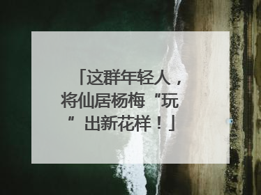 这群年轻人，将仙居杨梅“玩”出新花样！