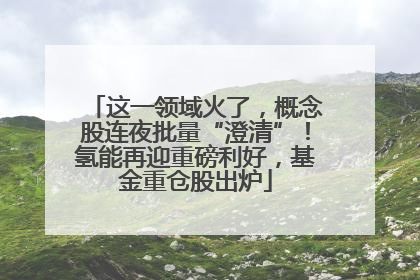 这一领域火了，概念股连夜批量“澄清”！氢能再迎重磅利好，基金重仓股出炉