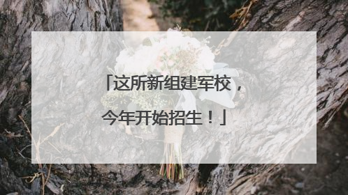 这所新组建军校，今年开始招生！
