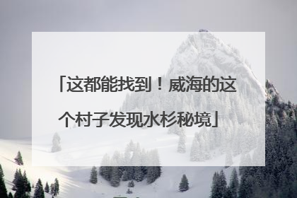 这都能找到！威海的这个村子发现水杉秘境