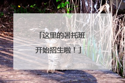 这里的暑托班开始招生啦！