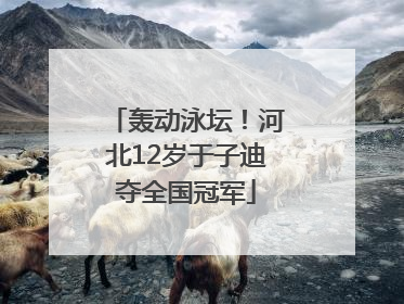 轰动泳坛！河北12岁于子迪夺全国冠军