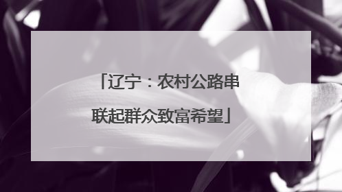 辽宁：农村公路串联起群众致富希望