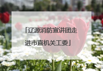 辽源消防宣讲团走进市直机关工委