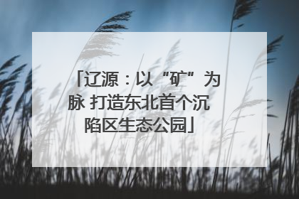 辽源：以“矿”为脉 打造东北首个沉陷区生态公园