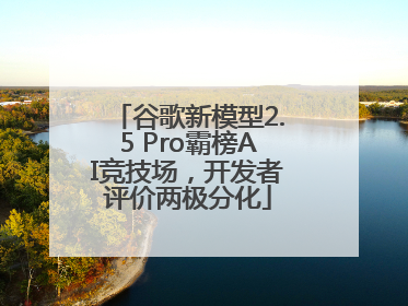 谷歌新模型2.5 Pro霸榜AI竞技场，开发者评价两极分化