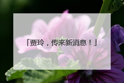 贾玲，传来新消息！