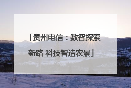 贵州电信：数智探索新路 科技智造农景